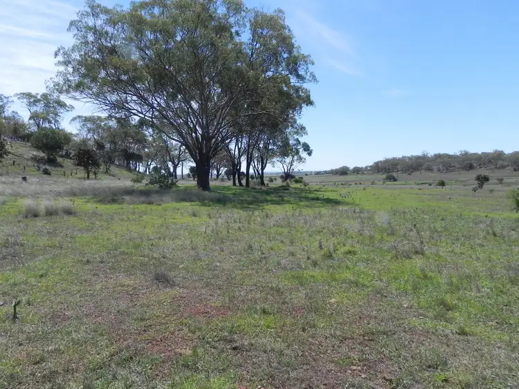Seventh view of Homely rural property listing, 0 F Drews Road, Biddeston QLD 4401