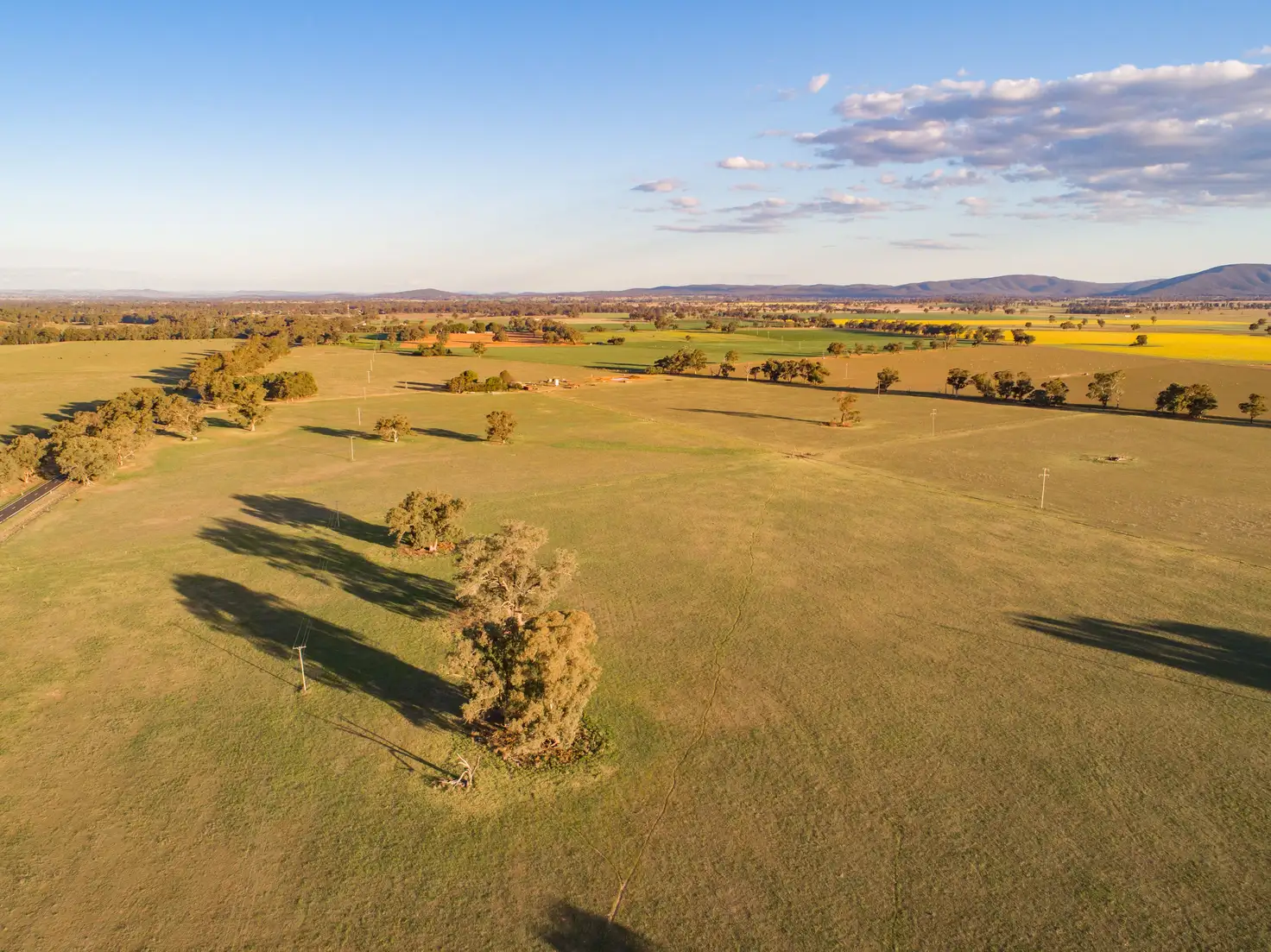 Main view of Homely rural property listing, 4259 Lachlan Valley Way, Gooloogong NSW 2805