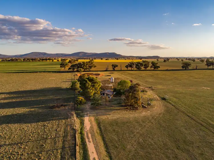 Second view of Homely rural property listing, 4259 Lachlan Valley Way, Gooloogong NSW 2805