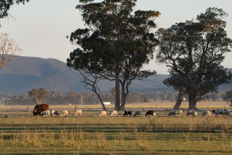 Fifth view of Homely rural property listing, 4259 Lachlan Valley Way, Gooloogong NSW 2805
