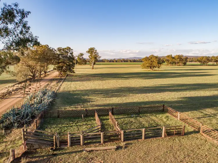 Seventh view of Homely rural property listing, 4259 Lachlan Valley Way, Gooloogong NSW 2805