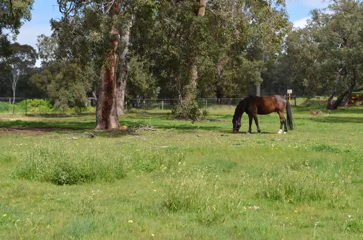 Sixth view of Homely land listing, 6 Honeyeater Way, Chittering WA 6084
