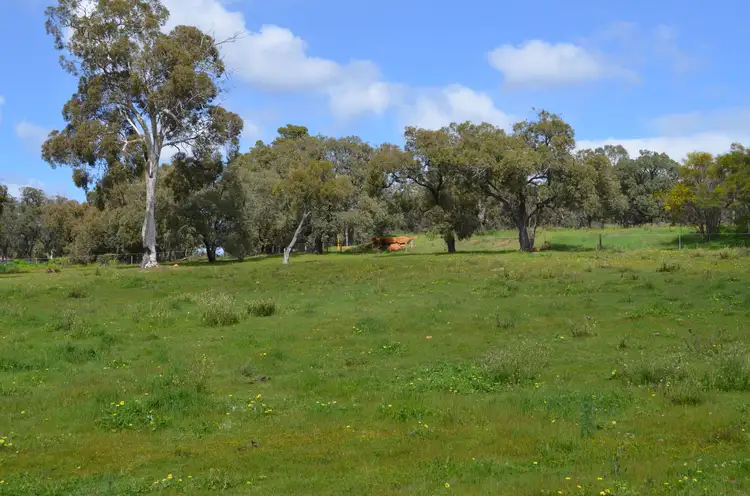 Seventh view of Homely land listing, 6 Honeyeater Way, Chittering WA 6084
