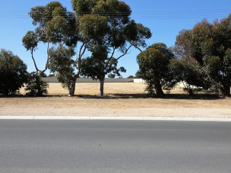 Second view of Homely land listing, Lot 4 Hindmarsh Road, Murray Bridge SA 5253