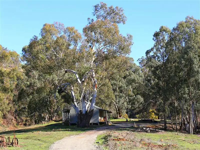 Main view of Homely rural property listing, Address available on request