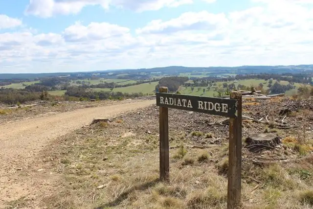 Main view of Homely rural property listing, 371 Horseshoe Bend Road, Edith NSW 2787