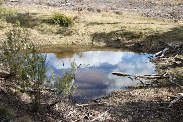 Third view of Homely rural property listing, 371 Horseshoe Bend Road, Edith NSW 2787