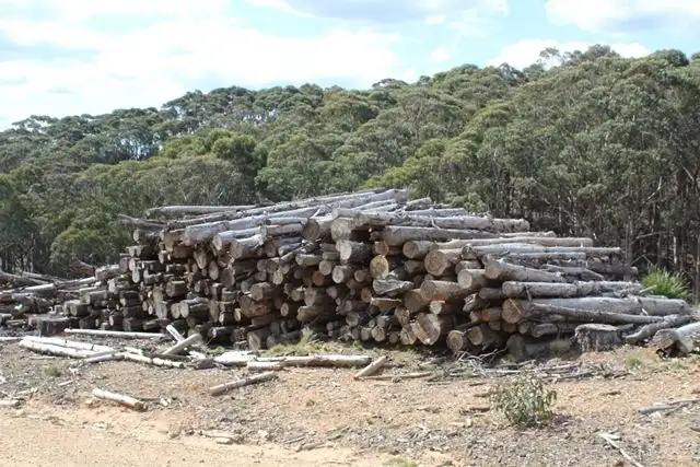Fourth view of Homely rural property listing, 371 Horseshoe Bend Road, Edith NSW 2787