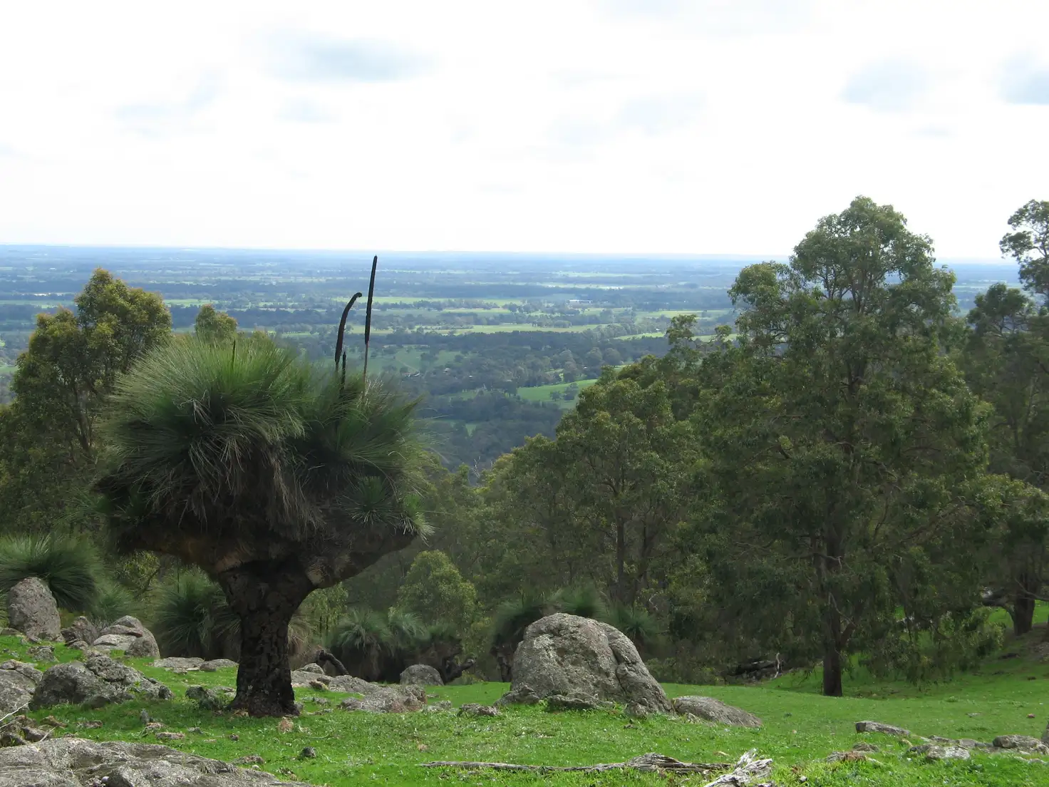 Main view of Homely rural property listing, 199 Morell Road, North Dandalup WA 6207