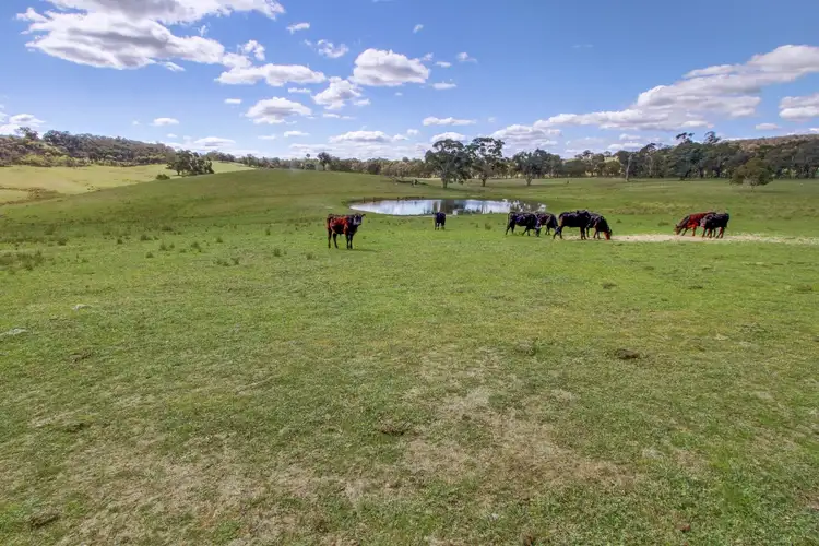 Fifth view of Homely rural property listing, 1037 Kangaloolah Road, Crookwell NSW 2583
