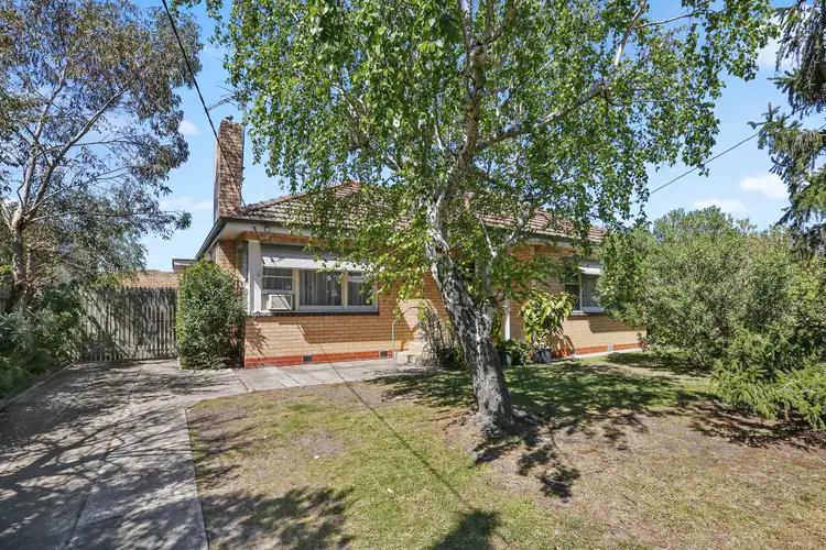 7 Hazel Street, Belmont VIC 3216