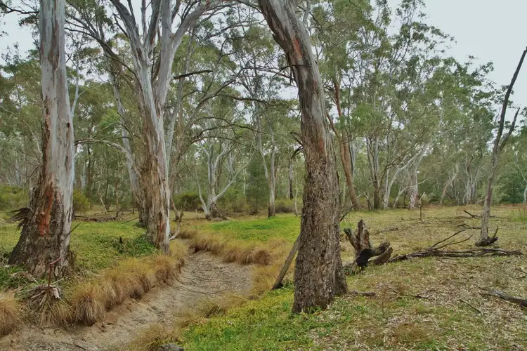 Main view of Homely land listing, CA1 Graytown Rushworth Road, Graytown VIC 3608