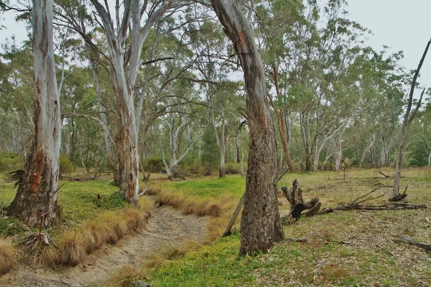 Main view of Homely land listing, CA1 Graytown Rushworth Road, Graytown VIC 3608
