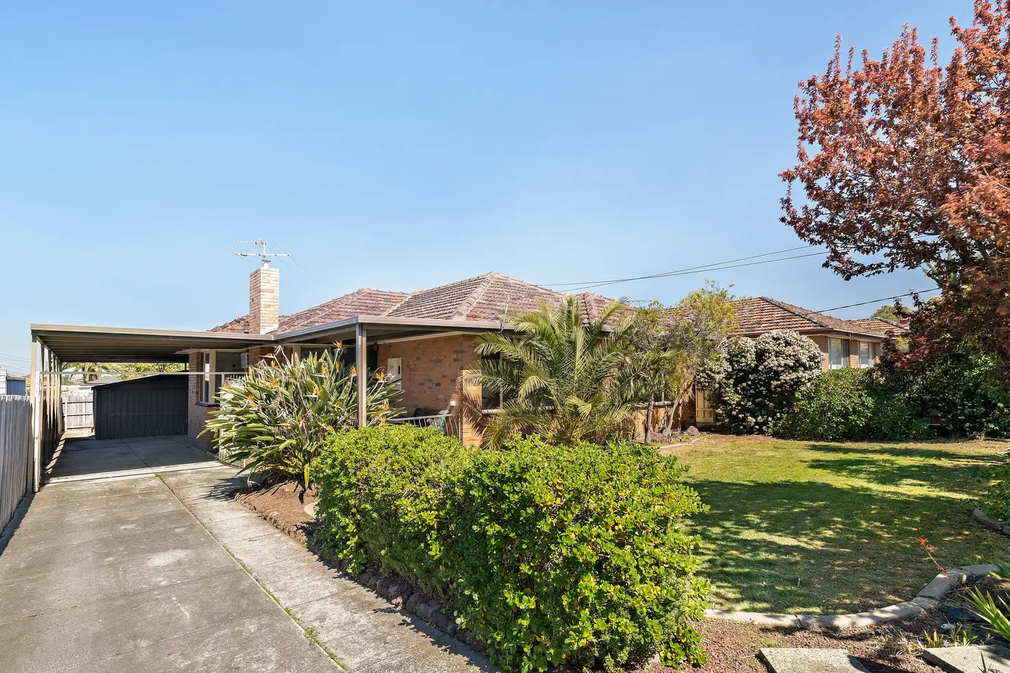 Main view of Homely house listing, 49 Pinewood Drive, Thomastown VIC 3074