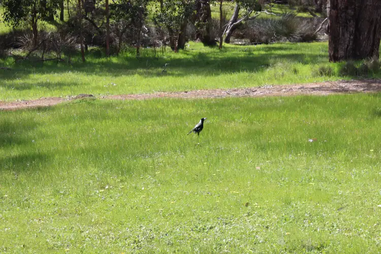 Seventh view of Homely land listing, 132 Ridge View Avenue, Boyup Brook WA 6244