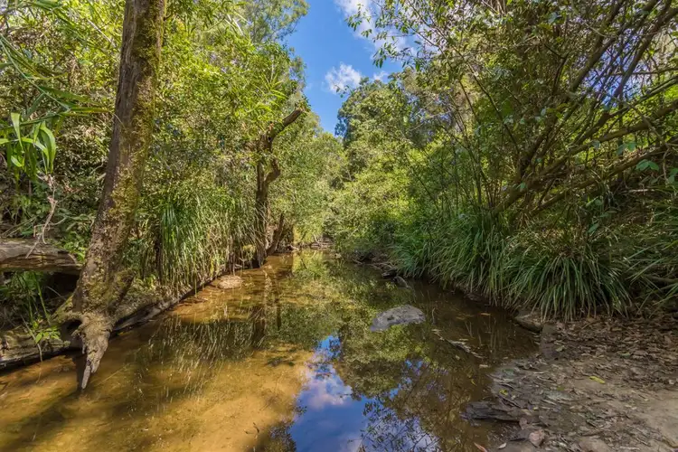 Fourth view of Homely rural property listing, 15 Felchow Court, Wamuran QLD 4512