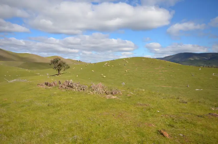 Main view of Homely rural property listing, CA 209 Townsing Road, Amphitheatre VIC 3468