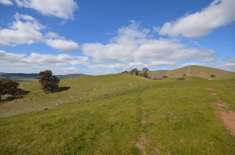Fourth view of Homely rural property listing, CA 209 Townsing Road, Amphitheatre VIC 3468