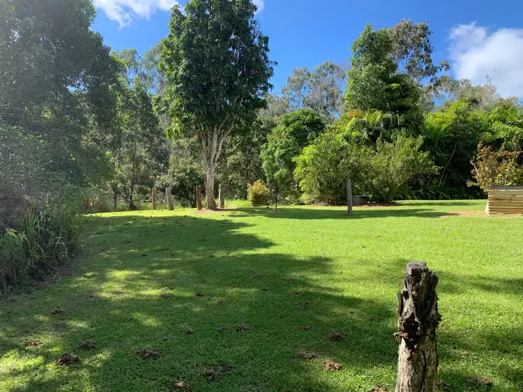 4163 Black Mountain Road, Julatten QLD 4871