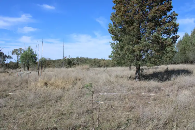 Second view of Homely rural property listing, Address available on request