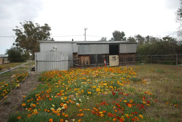 Seventh view of Homely land listing, 19 Review Street, Pingelly WA 6308