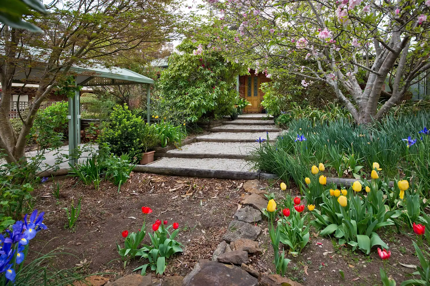 Main view of Homely house listing, 17 St Andrews Avenue, Blackheath NSW 2785