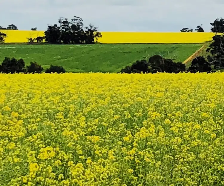Aurora Albany Hwy and Cranbrook-Frankland Road, Cranbrook WA 6321