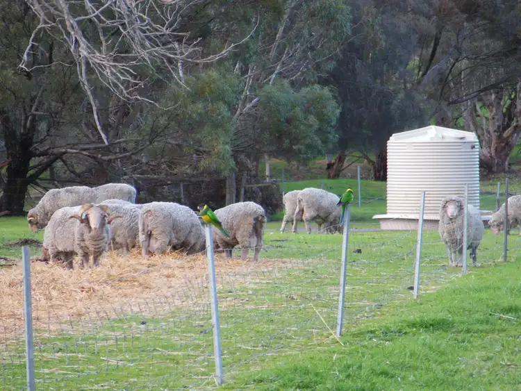 Seventh view of Homely rural property listing, Aurora Albany Hwy and Cranbrook-Frankland Road, Cranbrook WA 6321