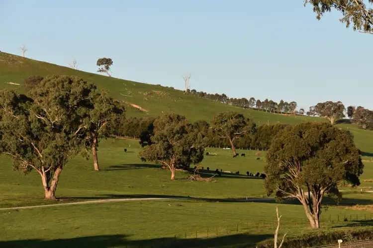 Fifth view of Homely rural property listing, 401 Lucan Road, Lyndhurst NSW 2797