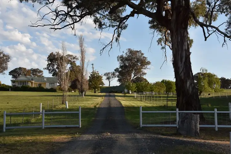 Seventh view of Homely rural property listing, 401 Lucan Road, Lyndhurst NSW 2797
