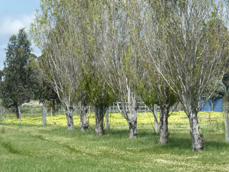 Second view of Homely land listing, Lot 103 Ingoldby Street, Mount Barker WA 6324