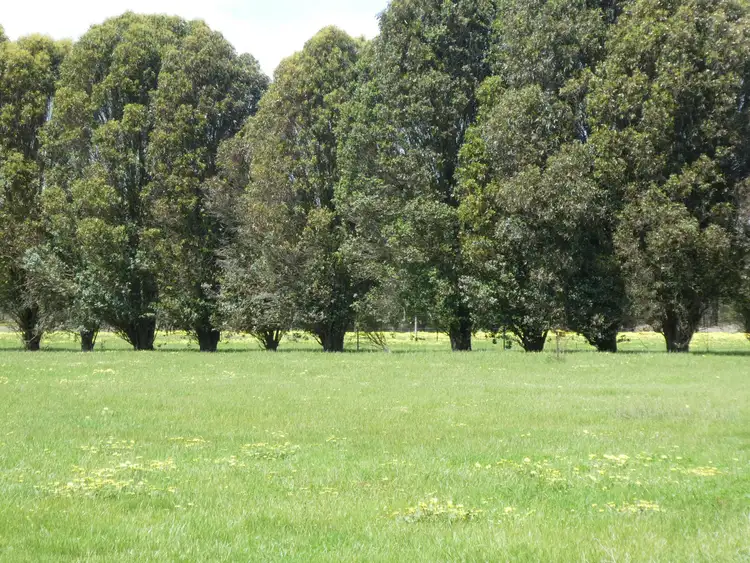 Third view of Homely land listing, Lot 103 Ingoldby Street, Mount Barker WA 6324