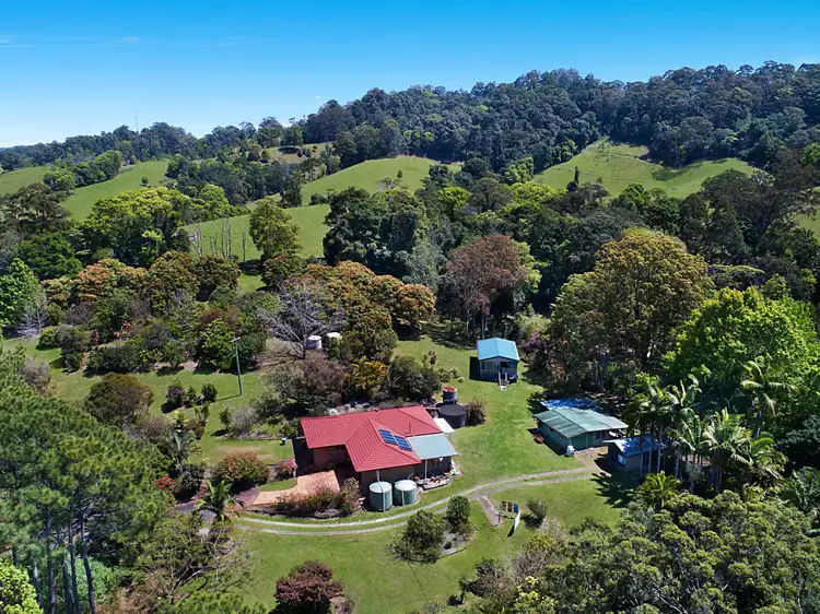 Third view of Homely rural property listing, 163 Blakeneys Road, Stokers Siding NSW 2484