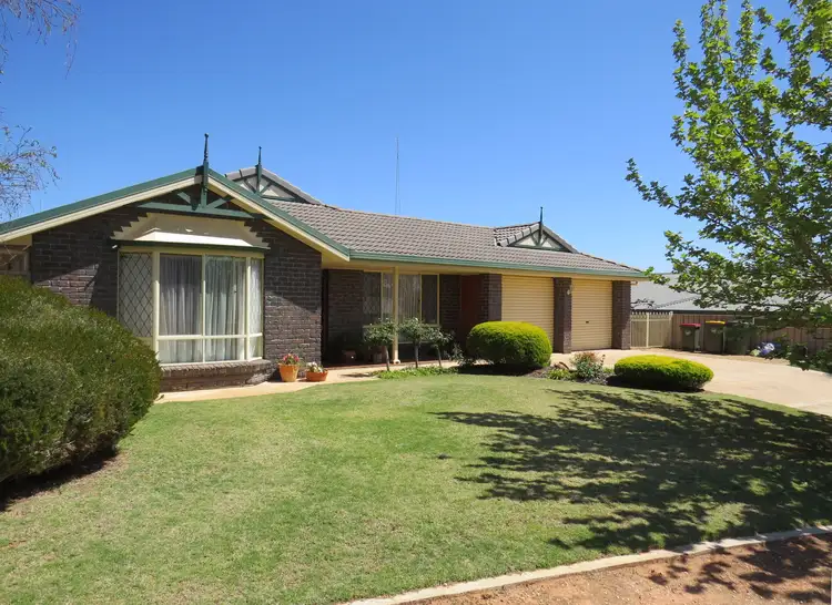 13 Mary Starr Drive, Waikerie SA 5330