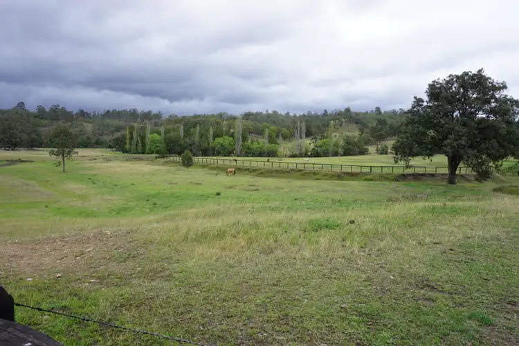 Sixth view of Homely rural property listing, 1475 Mirannie Road, Reedy Creek NSW 2330