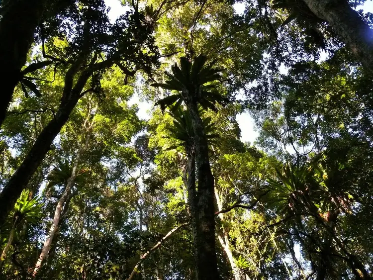 Third view of Homely land listing, 18 to 60 Hein Road, Buccan QLD 4207