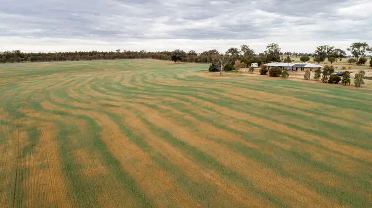 924 Yathella Rd, Yathella,, Wagga Wagga NSW 2650