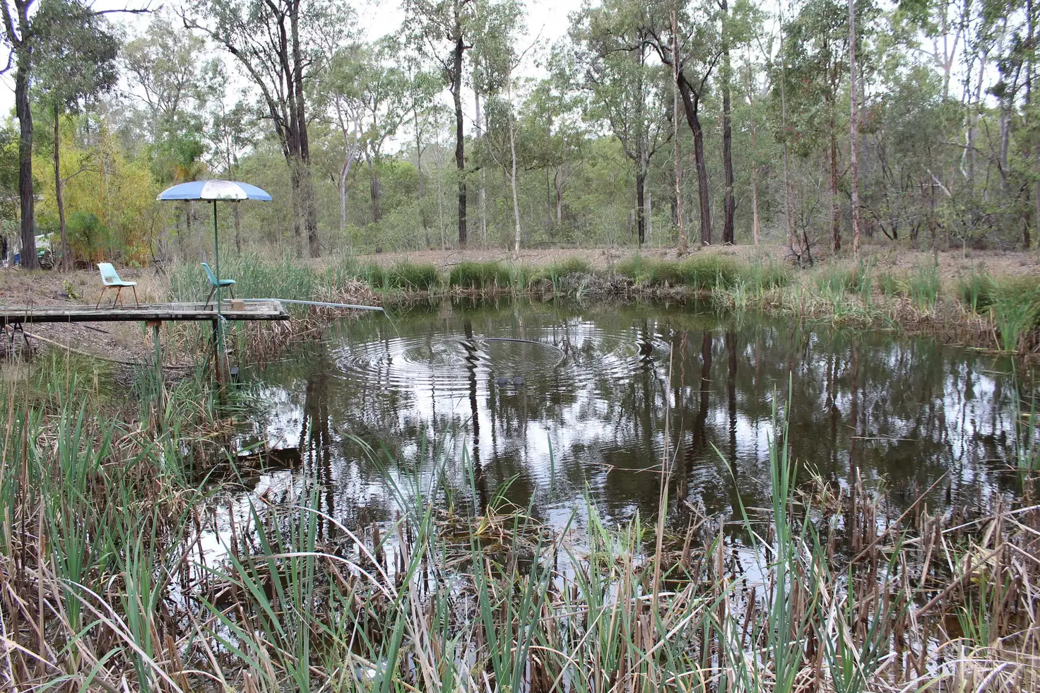 Main view of Homely rural property listing, 39 McKey Road, Crossdale QLD 4312