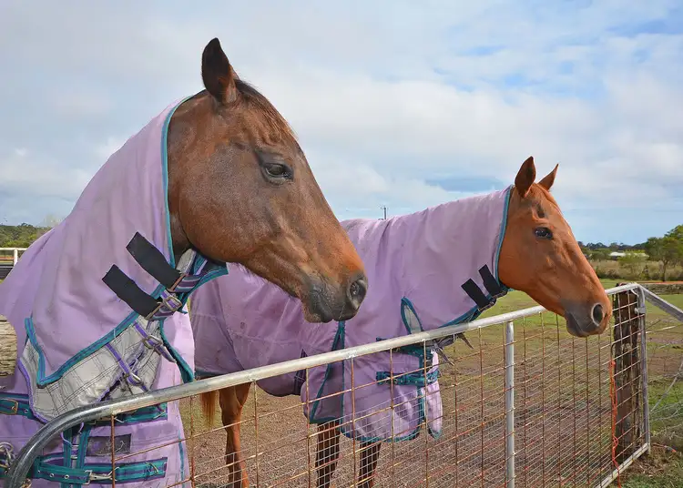 Third view of Homely rural property listing, 7 Sanctuary Hills Road, Takura QLD 4655