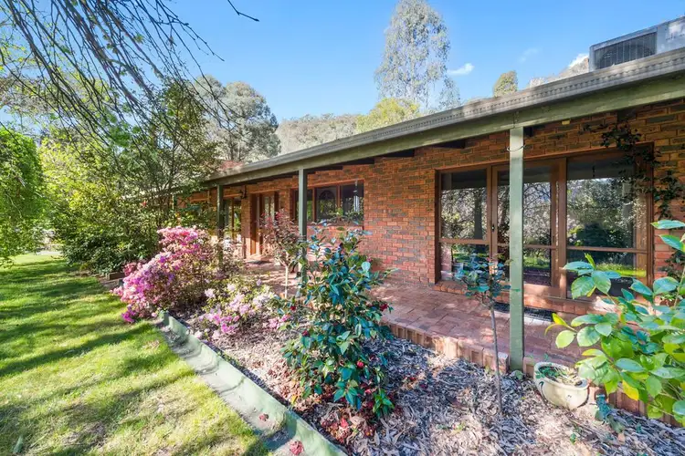 Main view of Homely house listing, 419 Buffalo River Road, Myrtleford VIC 3737