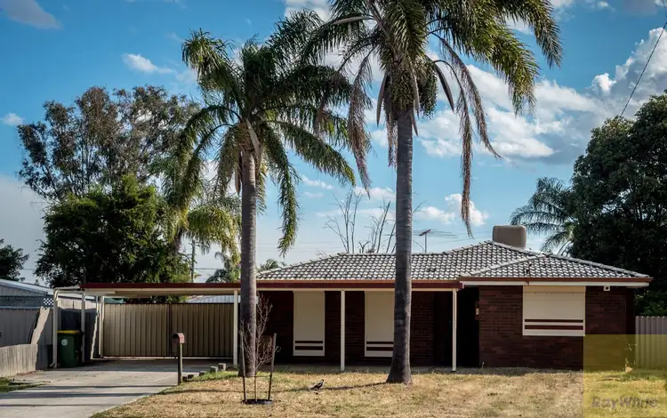 14 Bessant Court, Camillo WA 6111