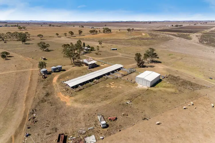 Second view of Homely rural property listing, 594 Talgai West Road, Allora QLD 4362