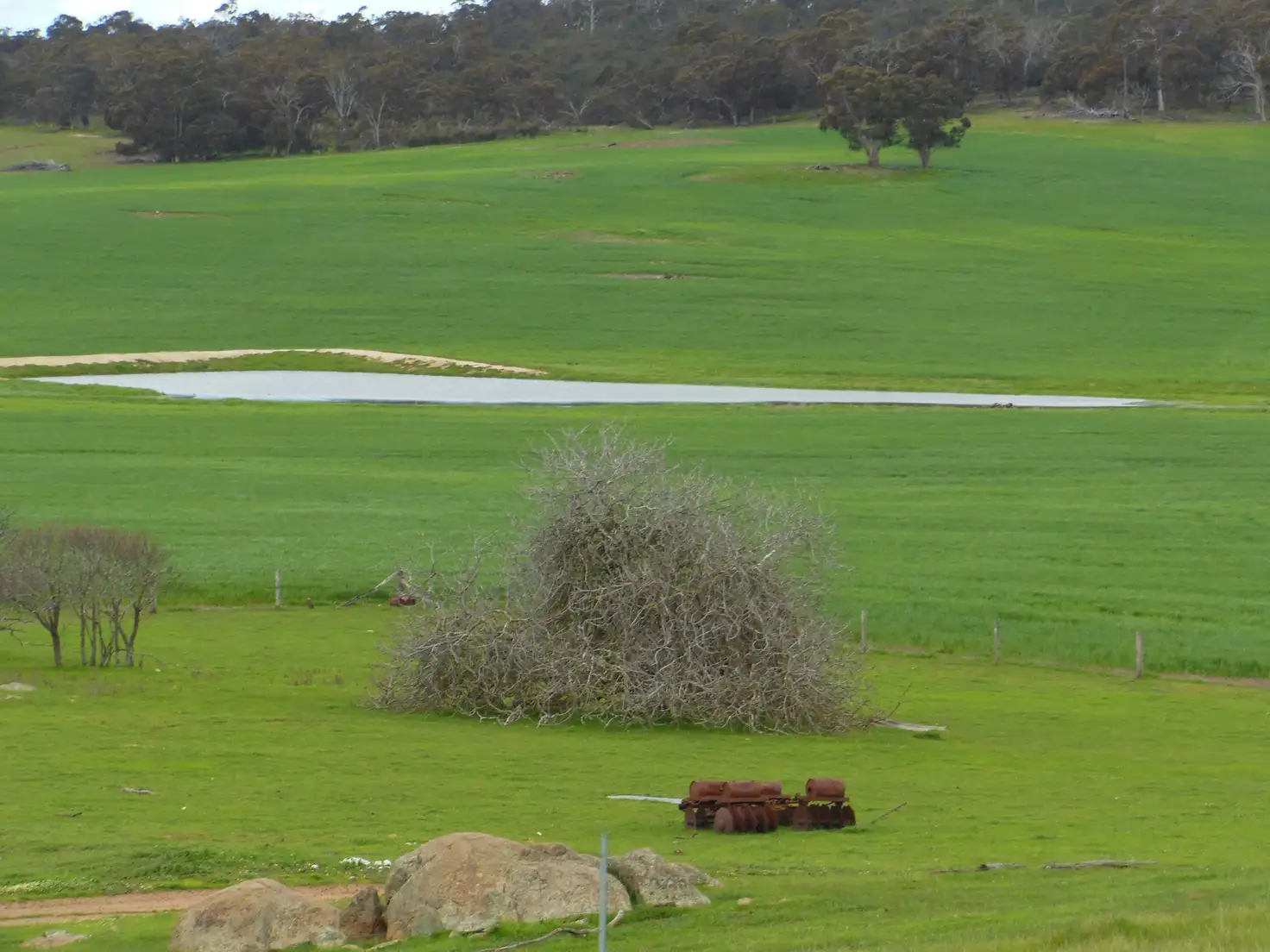 Main view of Homely rural property listing, Glenrock Albany Hwy and Cranbrook-Frankland Road, Cranbrook WA 6321
