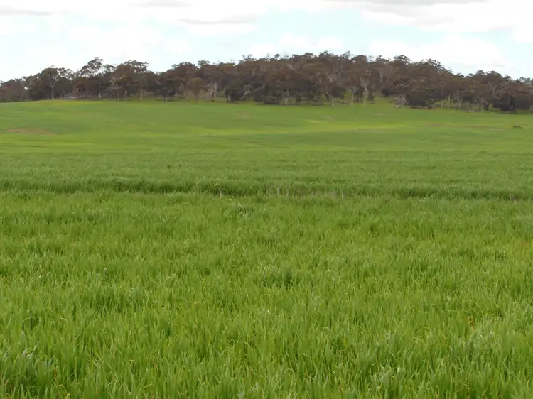 Second view of Homely rural property listing, Glenrock Albany Hwy and Cranbrook-Frankland Road, Cranbrook WA 6321