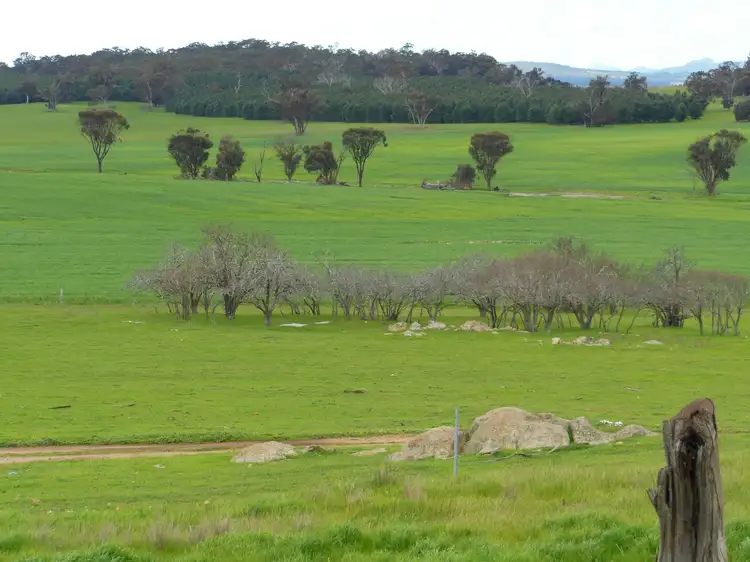 Third view of Homely rural property listing, Glenrock Albany Hwy and Cranbrook-Frankland Road, Cranbrook WA 6321