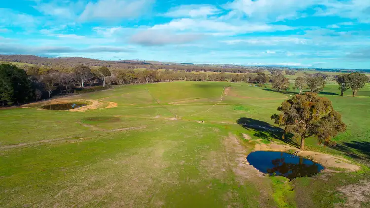 Fifth view of Homely rural property listing, 1935 O'Connell Road, O'connell NSW 2795