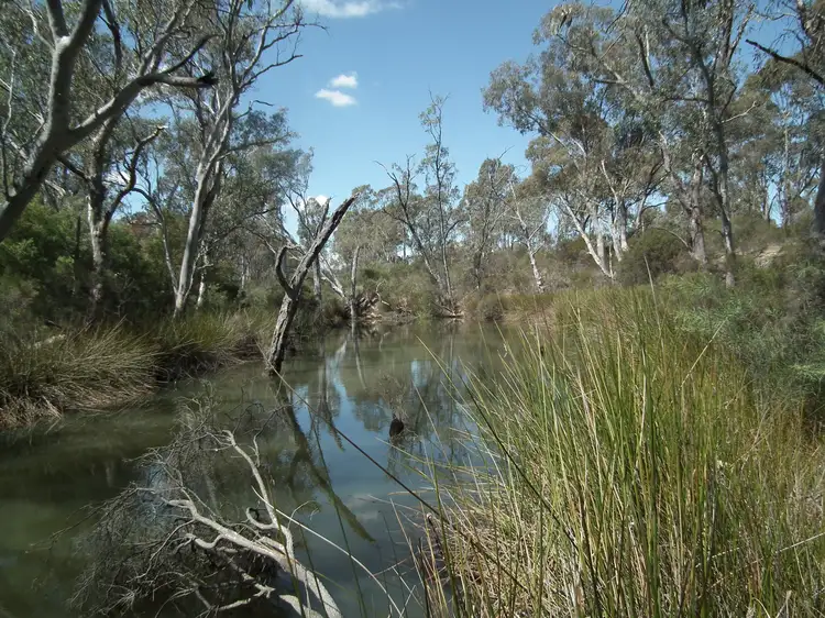 Second view of Homely rural property listing, CA 20 and 21 Delaney Road, Nagambie VIC 3608