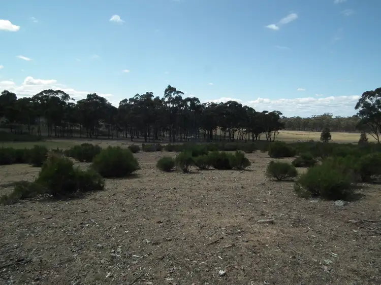 Fifth view of Homely rural property listing, CA 20 and 21 Delaney Road, Nagambie VIC 3608