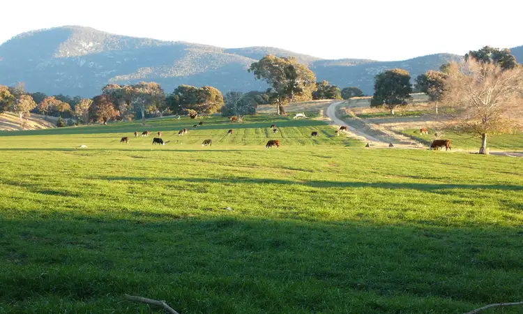 Sixth view of Homely rural property listing, 1449 Tidbinbilla Road, Tharwa ACT 2620