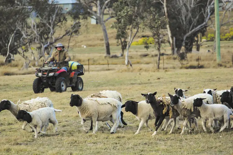 Seventh view of Homely rural property listing, 1449 Tidbinbilla Road, Tharwa ACT 2620